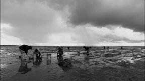 Morecambe Bay, where 23 Chinese cockle-pickers drowned in 2004